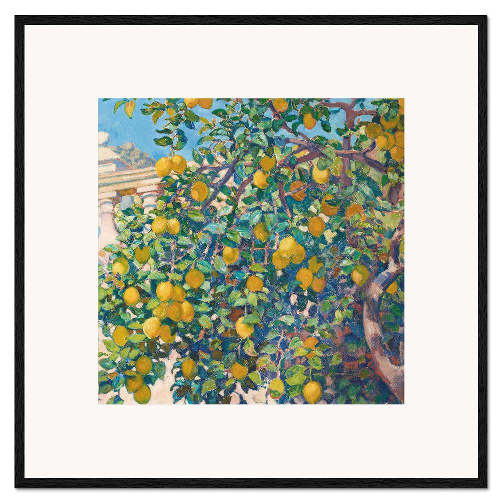 posterlounge Ingelijste kunstdruk Lemon Trees in La Mortola 1921
