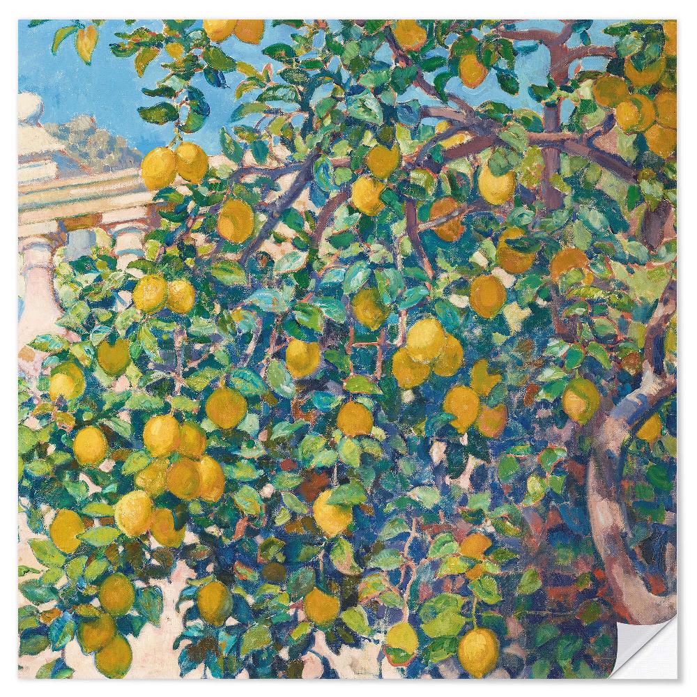 posterlounge Muursticker Lemon Trees in La Mortola 1921