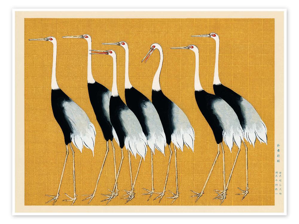 posterlounge Poster Flock of Japanese Red Crown Cranes