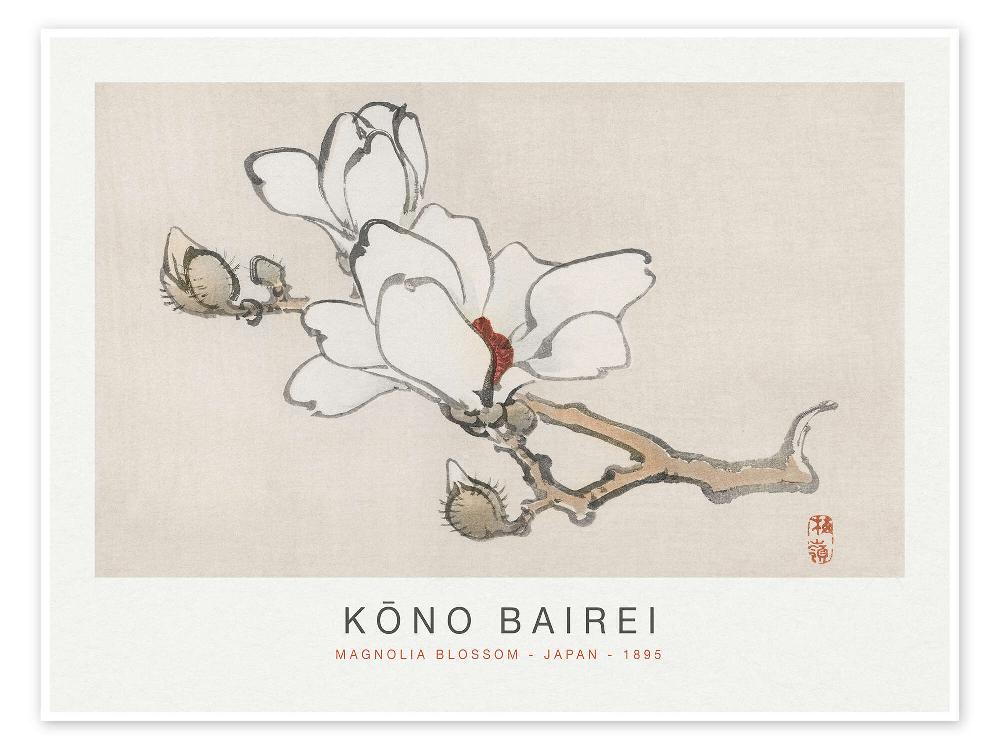 posterlounge Poster Magnolia Blossom Kono Bairei 1895