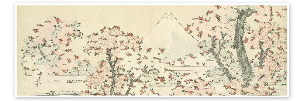 posterlounge Poster The Mount Fuji with Cherry Trees in Bloom