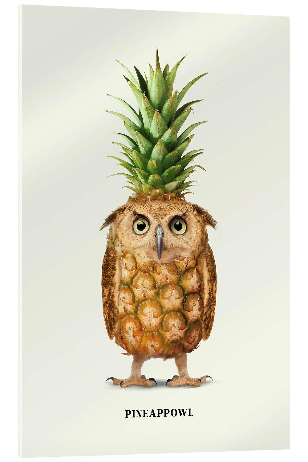 posterlounge Acrylglas print Pineappowl