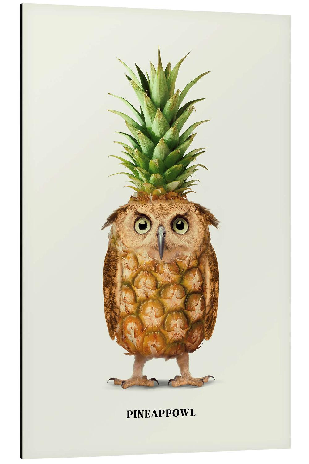 posterlounge Aluminium print Pineappowl