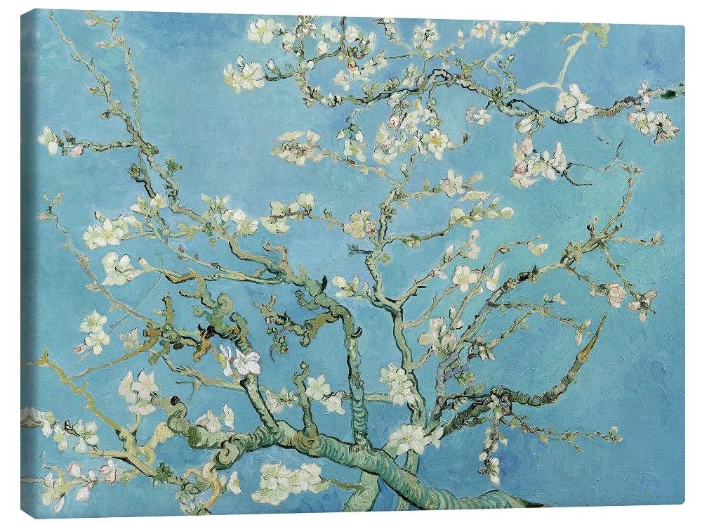 posterlounge Canvas print Amandelbloesem