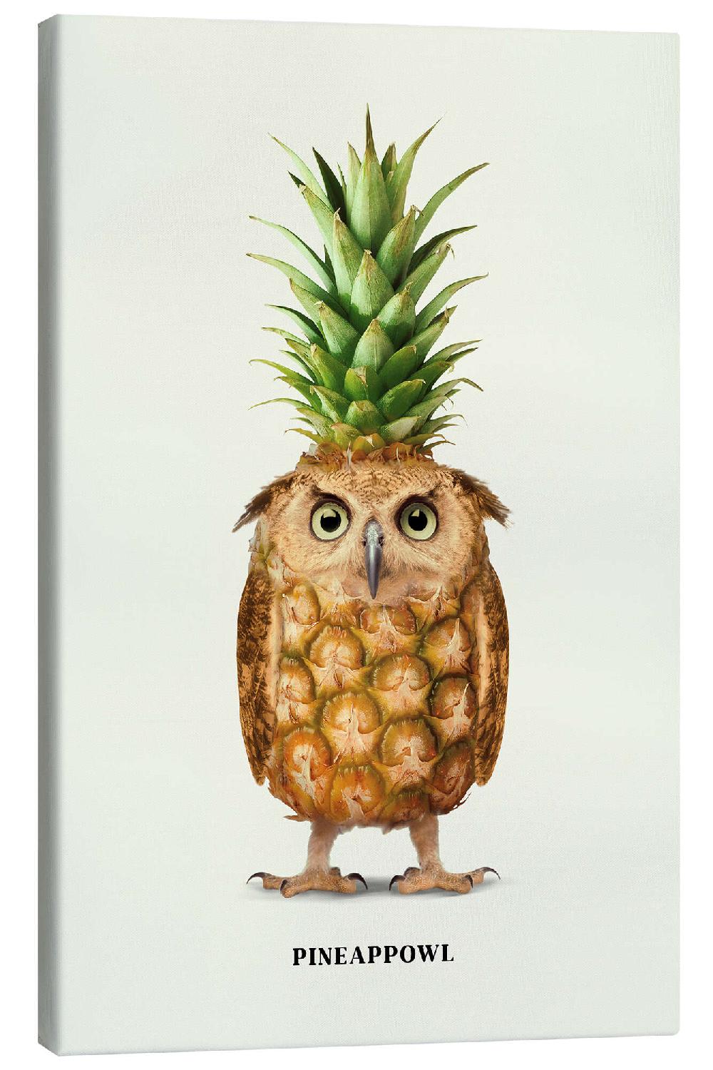 posterlounge Canvas print Pineappowl