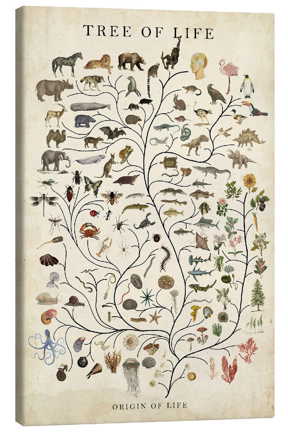 posterlounge Canvas print Tree of Life