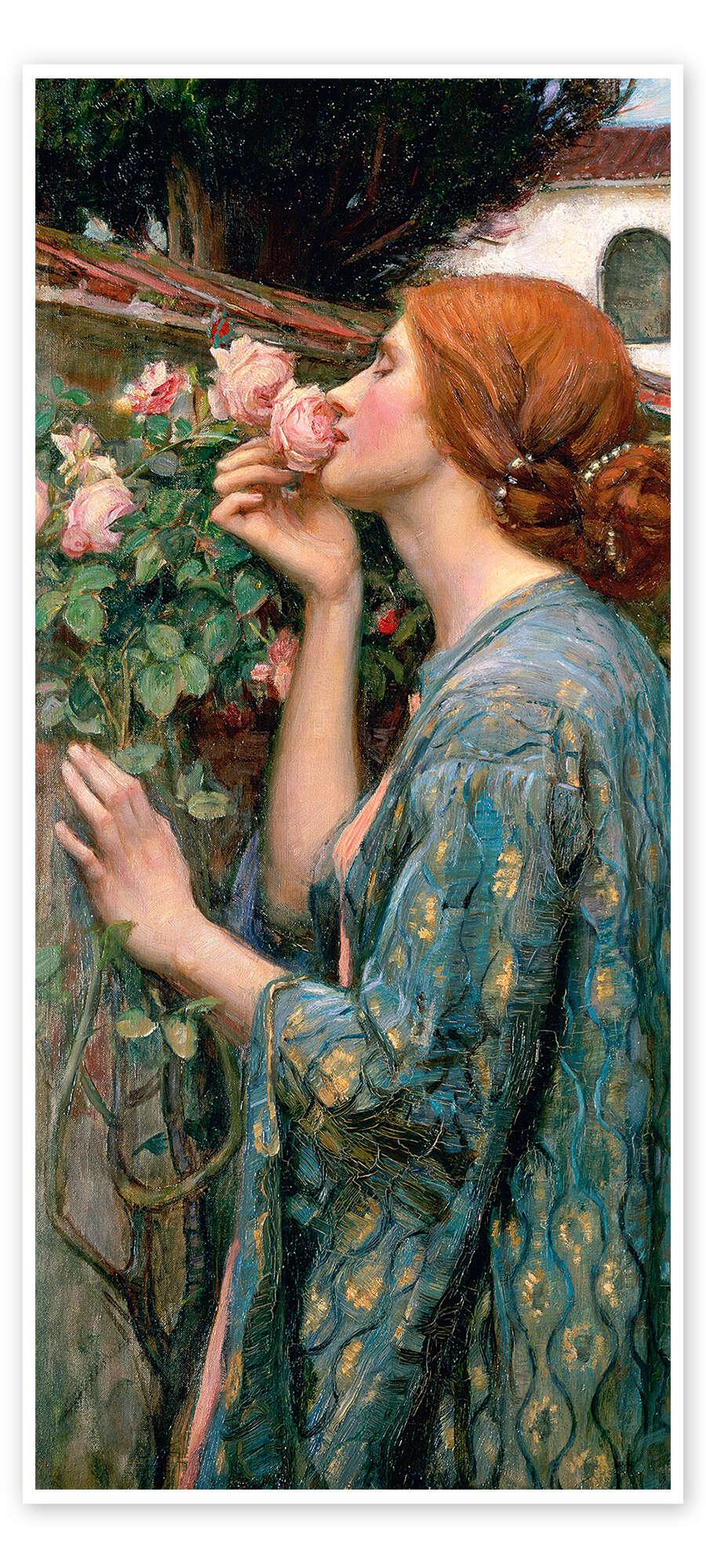 posterlounge Deurposter De ziel van de Rose