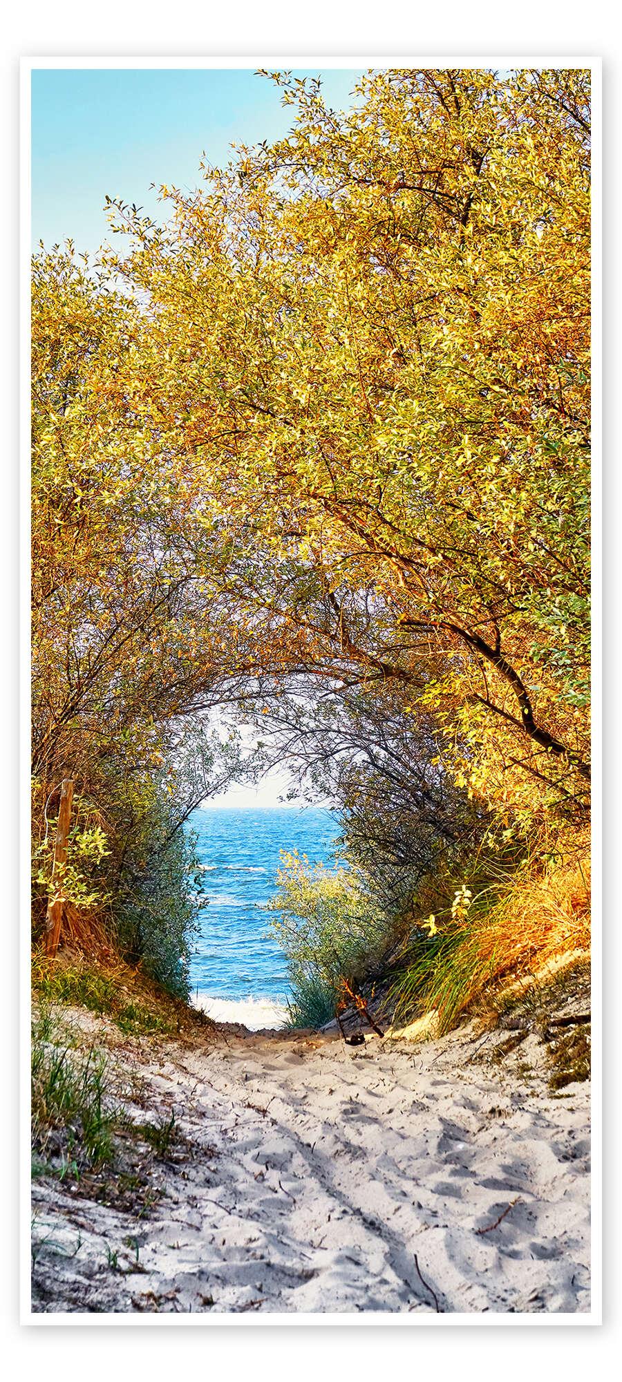 posterlounge Deurposter Golden Dune