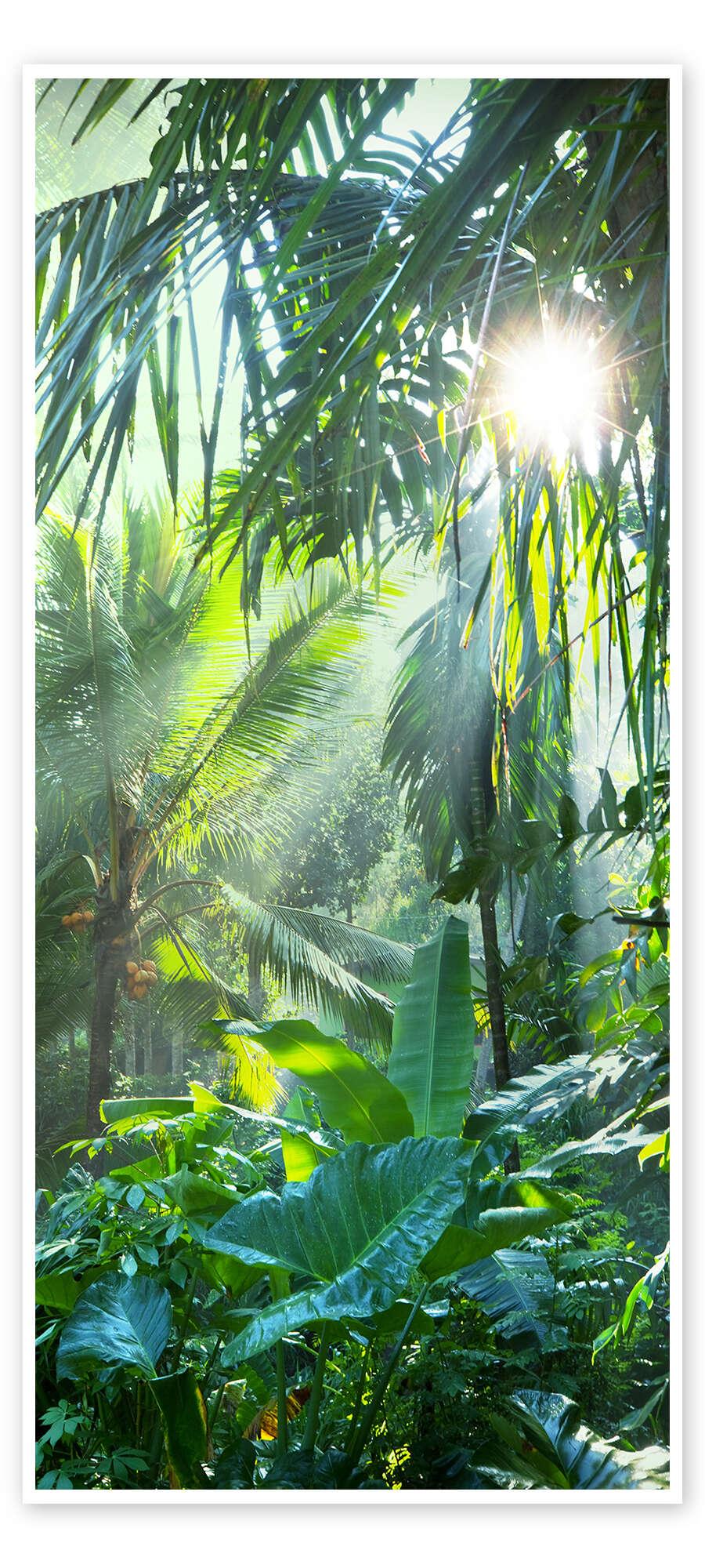 posterlounge Deurposter Rays of Sun in The Jungle