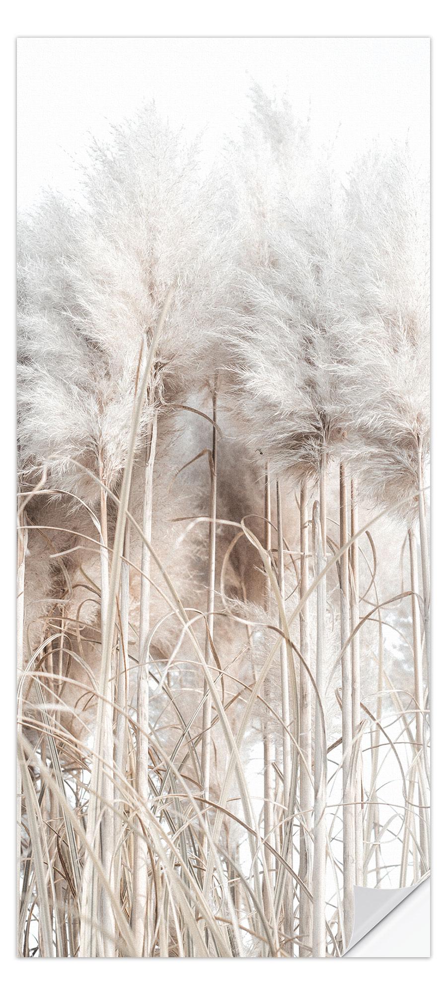 posterlounge Deursticker Pampasgras I