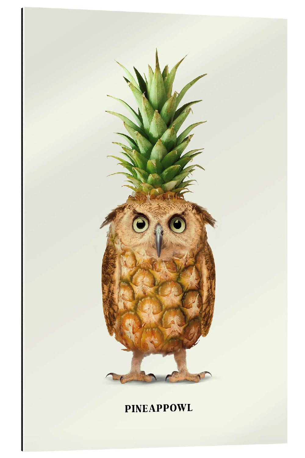 posterlounge Gallery print Pineappowl