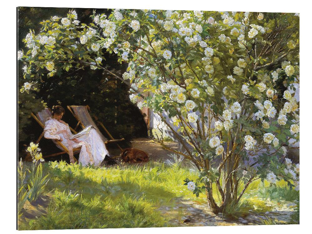 posterlounge Gallery print Rozen