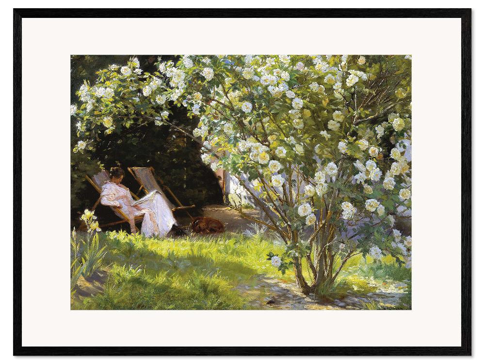 posterlounge Ingelijste kunstdruk Rozen