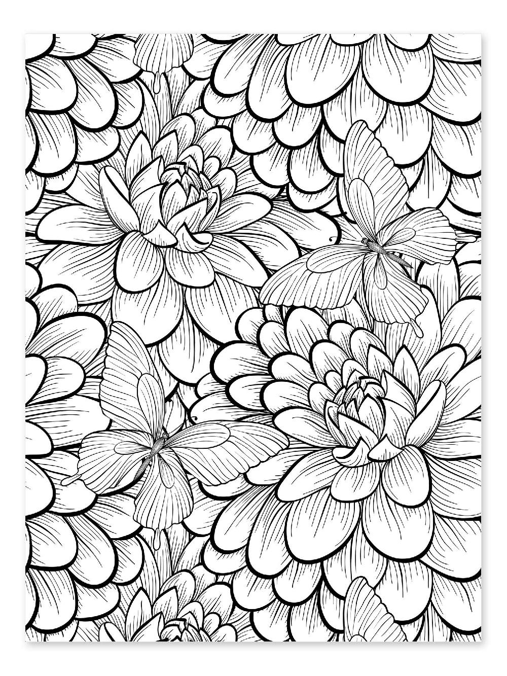 posterlounge Kleurposter Bloemen en vlinders