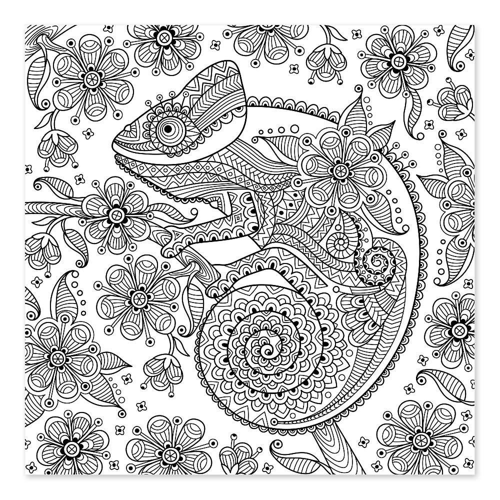 posterlounge Kleurposter Fantasievol kameleon