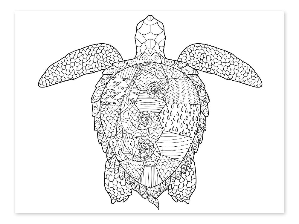 posterlounge Kleurposter Grote zeeschildpad