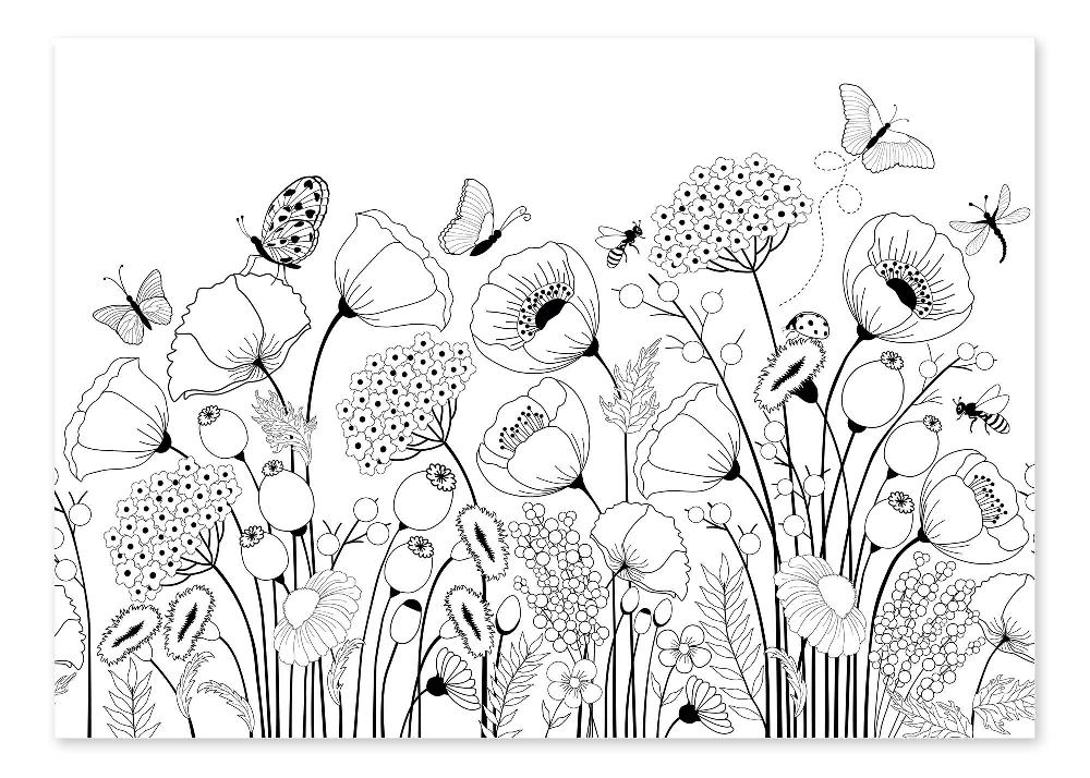 posterlounge Kleurposter Klaprozen