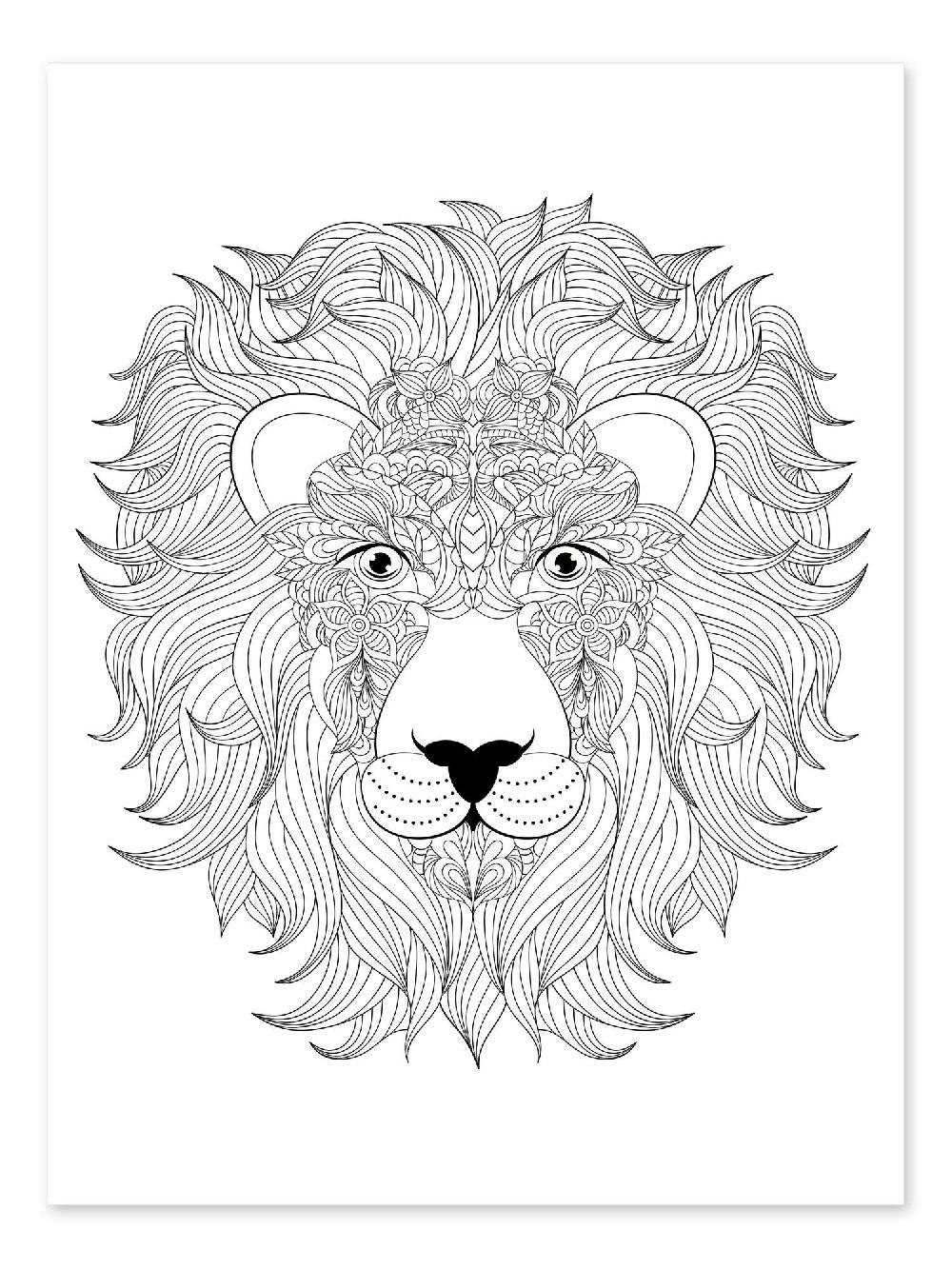 posterlounge Kleurposter Leeuwenhoofd
