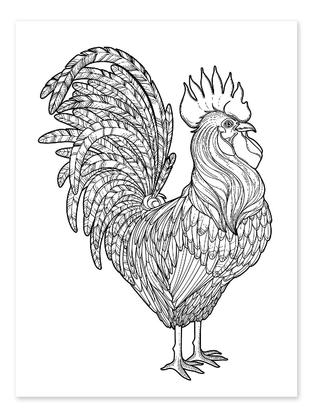 posterlounge Kleurposter Magnificent rooster