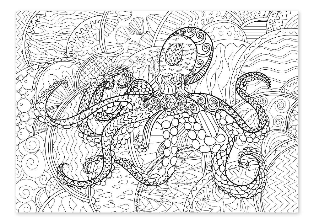 posterlounge Kleurposter Octopus