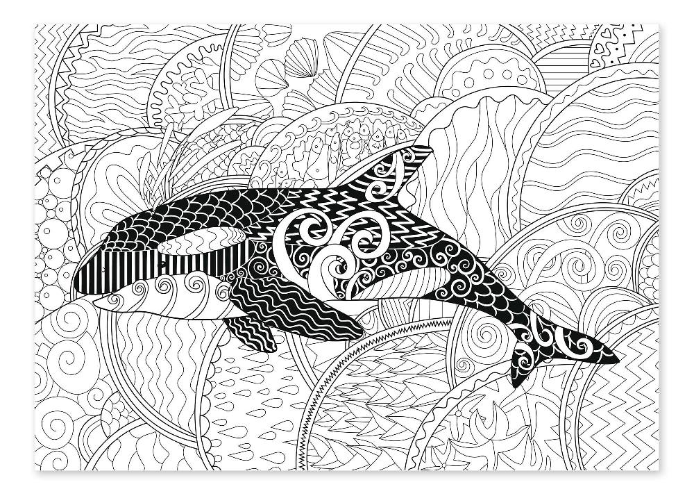 posterlounge Kleurposter Orca