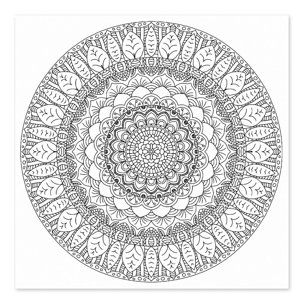 posterlounge Kleurposter The leaves mandala