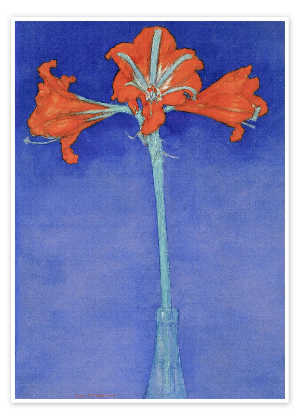 posterlounge Poster amaryllis