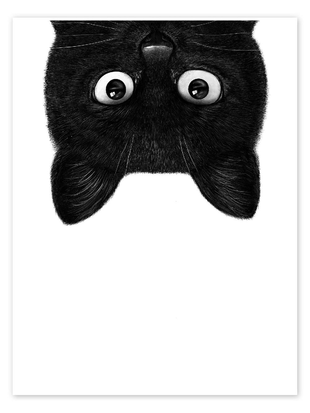 posterlounge Poster Black Cat III