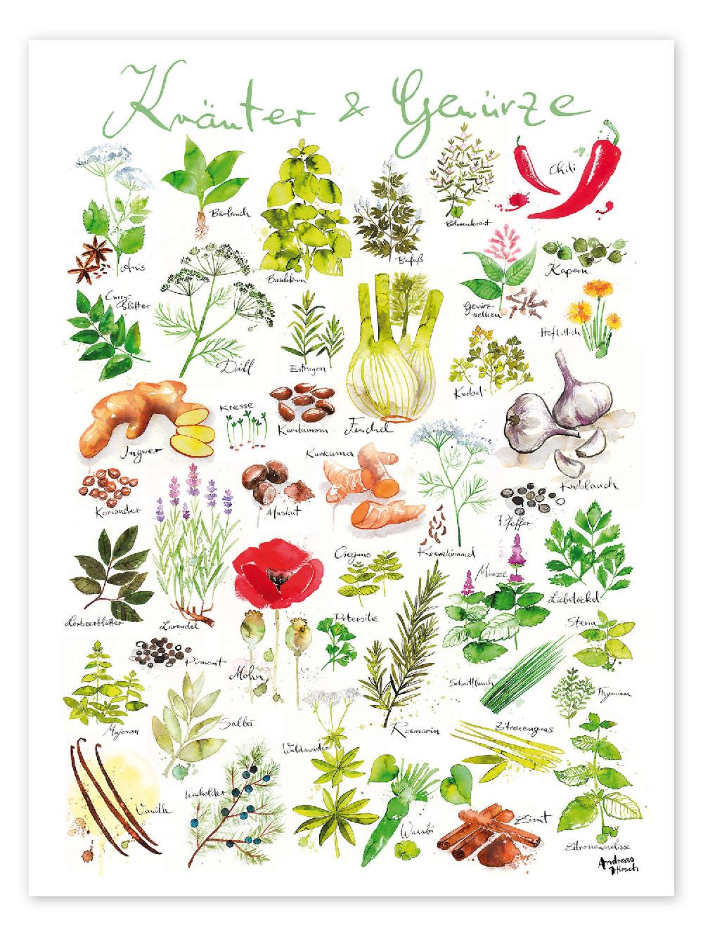 posterlounge Poster Kruiden en specerijen (Duits)