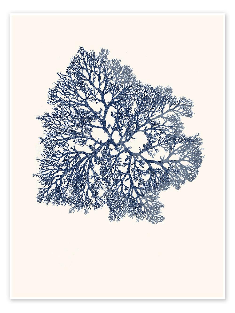posterlounge Poster Navy coral
