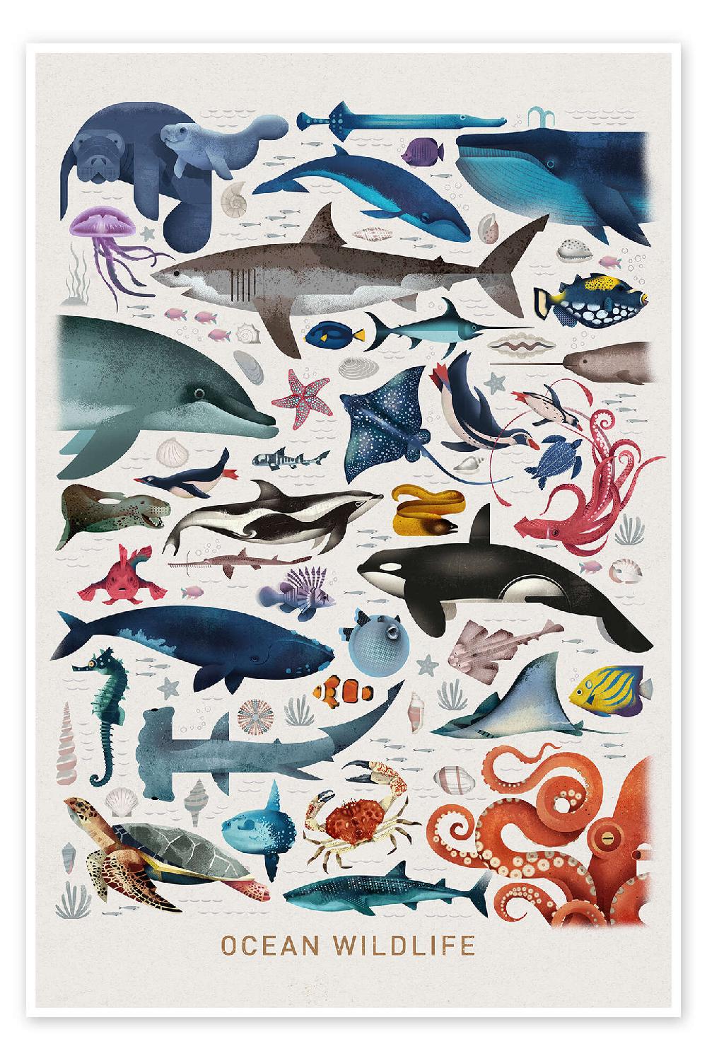 posterlounge Poster Ocean Wildlife