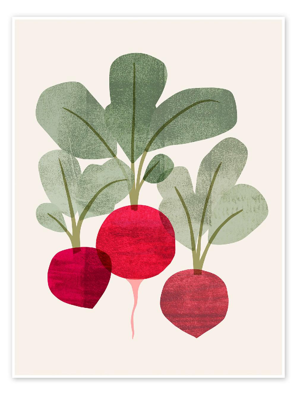 posterlounge Poster Organic Veg I