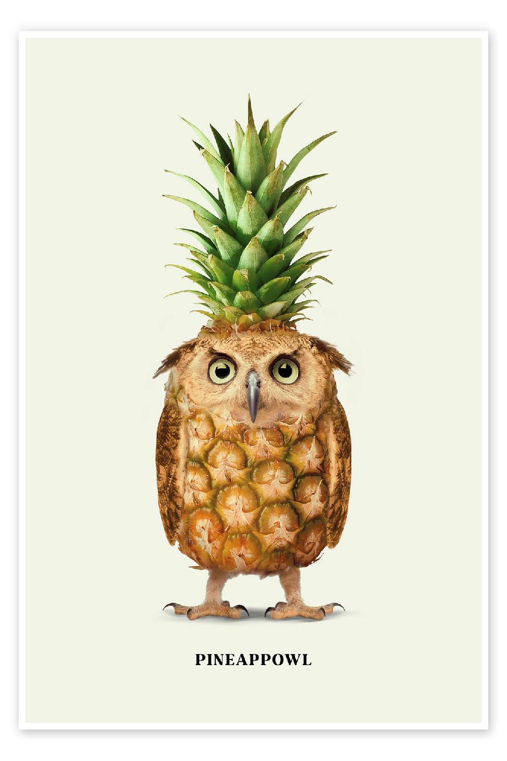 posterlounge Poster Pineappowl