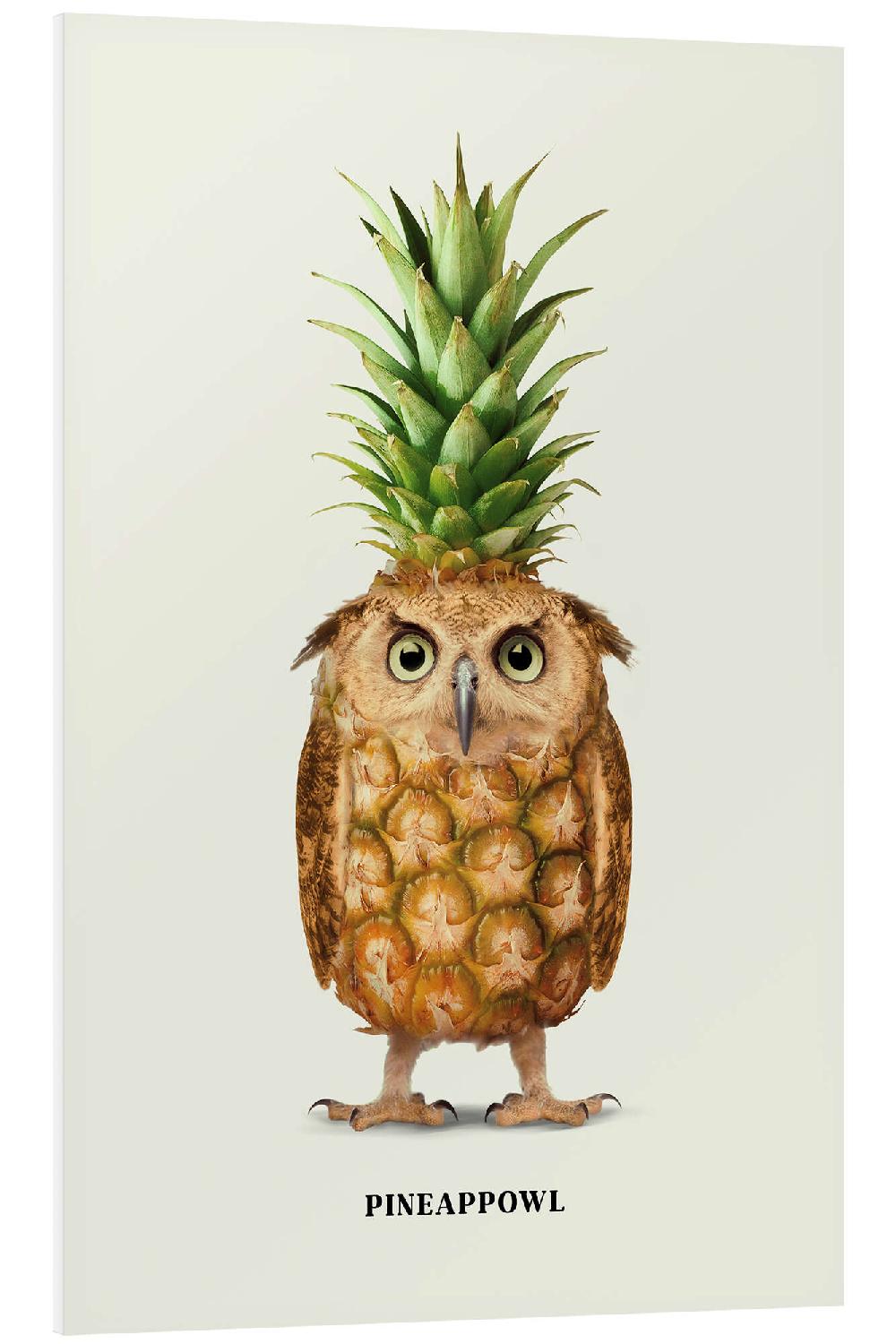 posterlounge PVC print Pineappowl