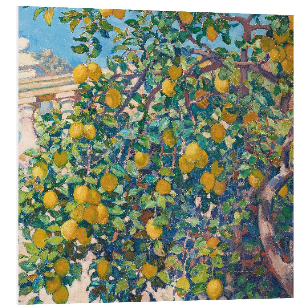 posterlounge PVC print Lemon Trees in La Mortola 1921