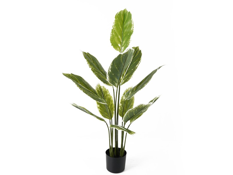 present time Artificial Plant Calathea Large - PT4114 Green