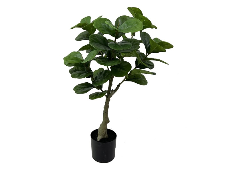 present time Artificial Plant Ficus - PT4117 Green