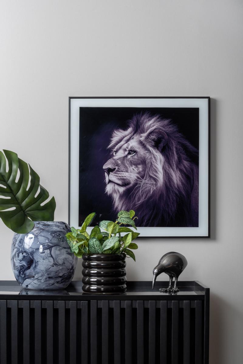 Present Time Photo Art Lion - PT4127 Black