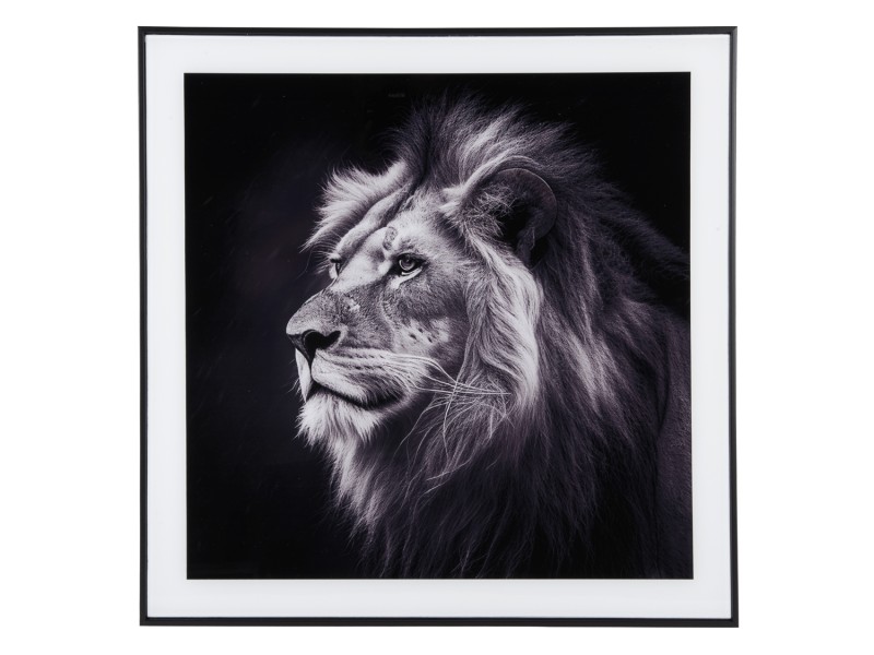 present time Photo Art Lion - PT4127 Black