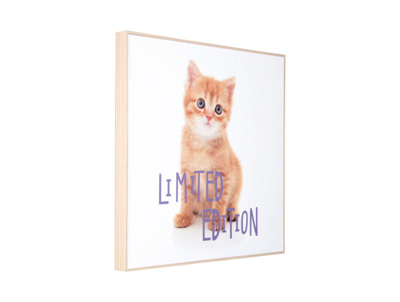 Present Time Wall Art Kitten Limited Edition - PT4187 Multicolor