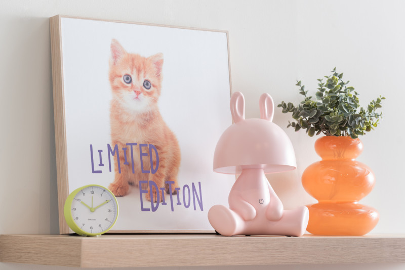 Present Time Wall Art Kitten Limited Edition - PT4187 Multicolor