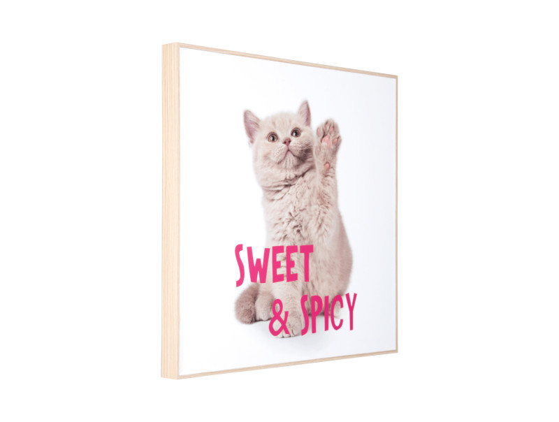 Present Time Wall Art Kitten Sweet & Spicy - PT4186 Multicolor