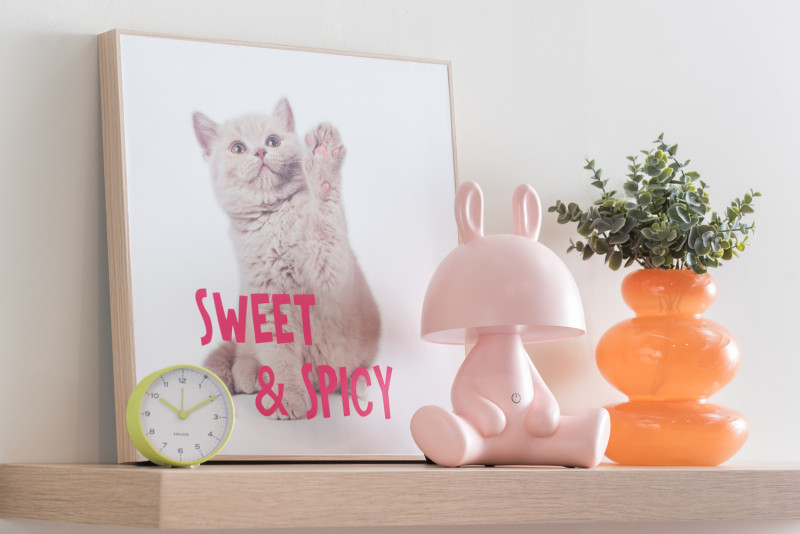 Present Time Wall Art Kitten Sweet & Spicy - PT4186 Multicolor
