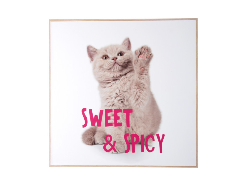 present time Wall Art Kitten Sweet & Spicy - PT4186 Multicolor