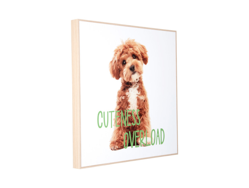 Present Time Wall Art Puppy Cuteness Overload - PT4185 Multicolor