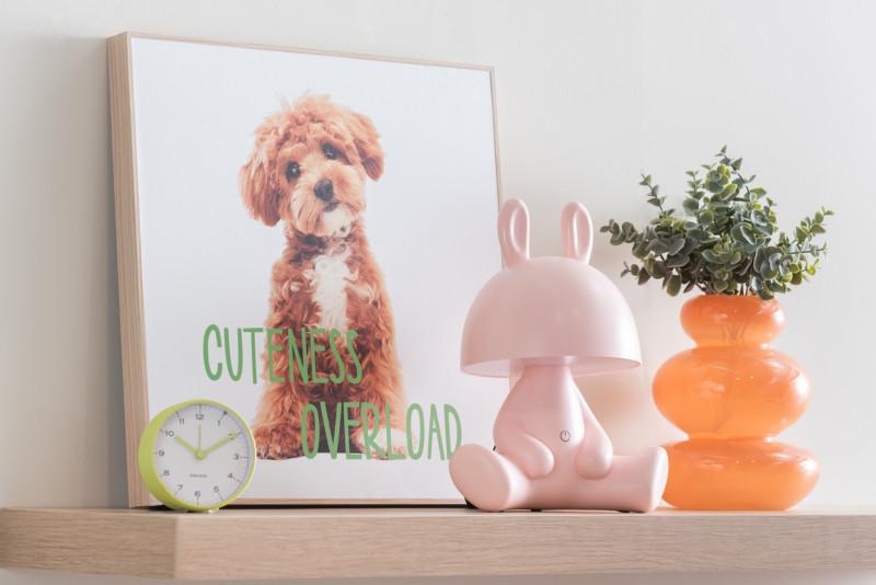 Present Time Wall Art Puppy Cuteness Overload - PT4185 Multicolor