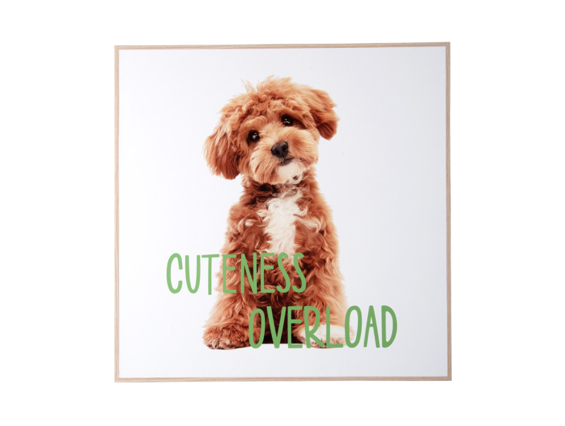 present time Wall Art Puppy Cuteness Overload - PT4185 Multicolor