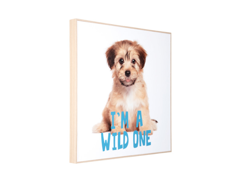 Present Time Wall Art Puppy I'm A Wilde One - PT4184 Multicolor