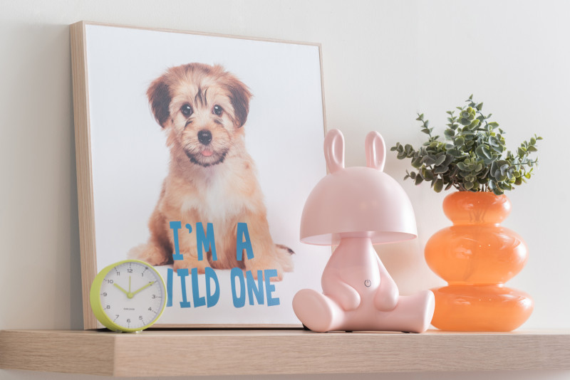 Present Time Wall Art Puppy I'm A Wilde One - PT4184 Multicolor