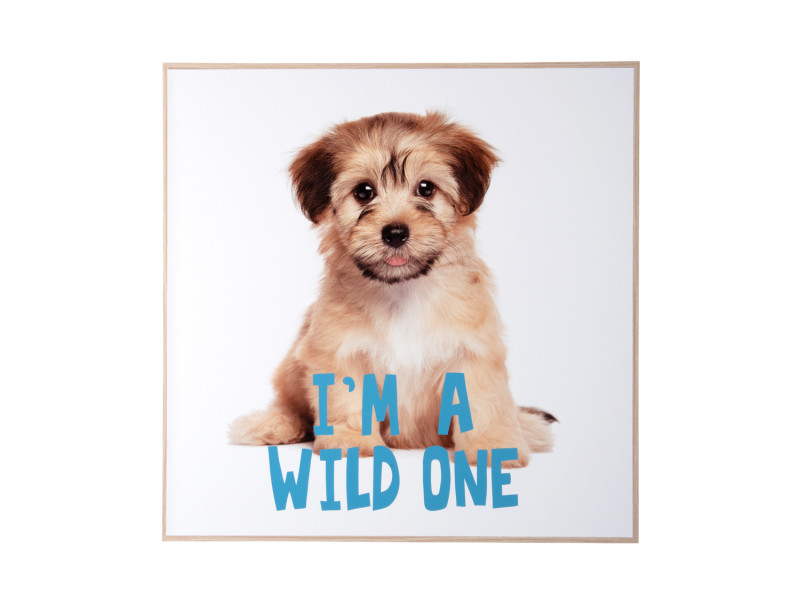 present time Wall Art Puppy I'm A wilde One - PT4184 Multicolor